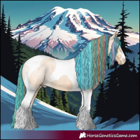 Horse Color:Painted Buckskin Pearl Tobiano Rabicano 