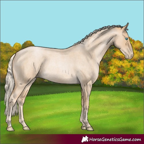 Horse Color:Palomino Roan Pearl 