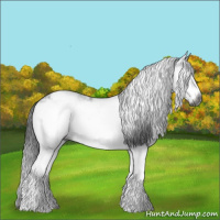 Horse Color:Gray White Spotted Black Frame  and Gray White Spotted Black Frame 