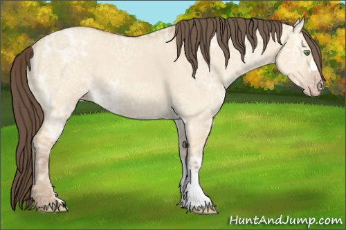 Horse Color:Amber Champagne Ice Dun 