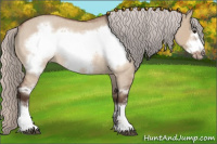 Horse Color:Silver Bay Roan Dun Frame Rabicano