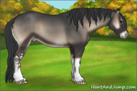 Horse Color:Blue Onyx 