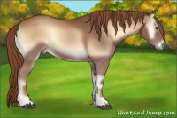 Horse Color:Red Onyx 