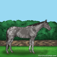 Horse Color:Smoky Black Ice 