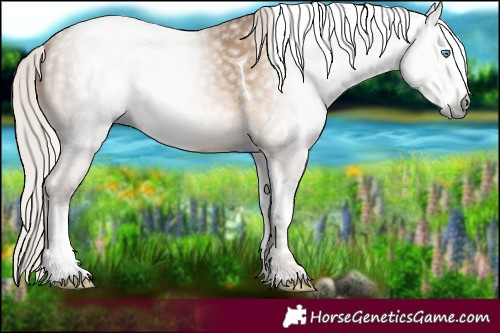 Horse Color:Gray White Spotted Silver Smoky Black Pearl Tobiano 