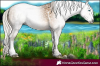 Horse Color:Gray White Spotted Silver Smoky Black Pearl Tobiano 