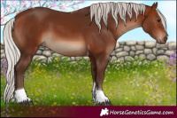 Horse Color:Silver Brown Tobiano 