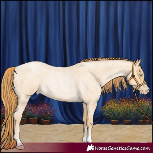 Horse Color:Buckskin Roan Pearl 