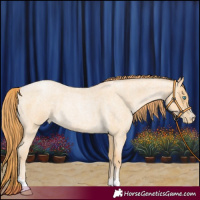 Horse Color:Buckskin Roan Pearl 