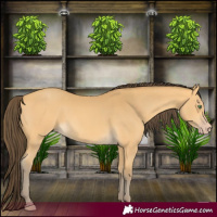 Horse Color:Amber Cream Champagne 