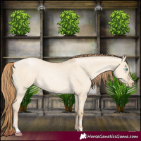 Horse Color:Buckskin Pearl Dun 