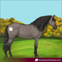 Horse Color:Smoky Grullo 
