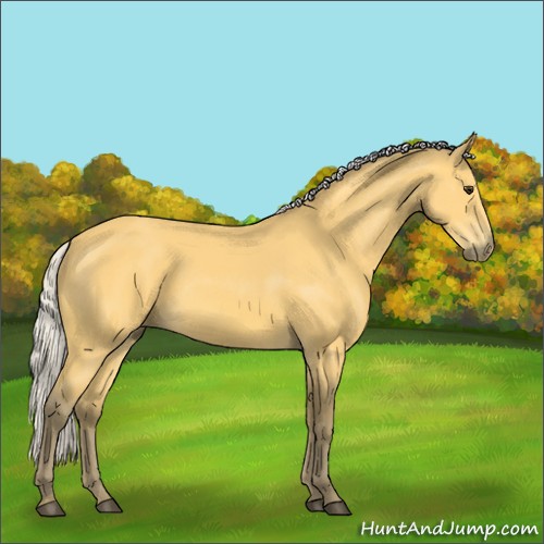 Horse Color:Silver Buckskin Sabino 