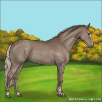 Horse Color:Silver Blue Roan Sabino 