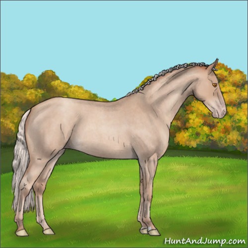 Horse Color:Silver Classic Champagne Roan 