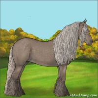 Horse Color:Silver Grullo 