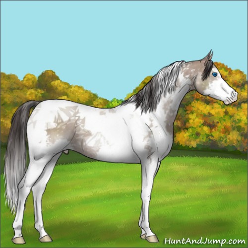 Horse Color:ERROR: UNKNOWN ANOMALY