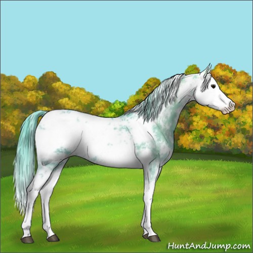 Horse Color:Watercolor Smoky Black Ice Sabino Varnish 