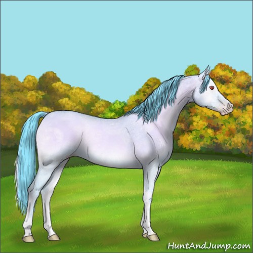 Horse Color:Watercolor Classic Champagne Chinchilla Ice Onyx Rabicano 