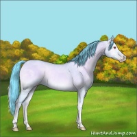 Horse Color:Watercolor Classic Champagne Chinchilla Ice Onyx Rabicano 