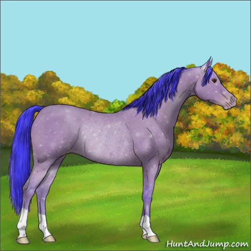 Horse Color:Watercolor Classic Champagne Rabicano 