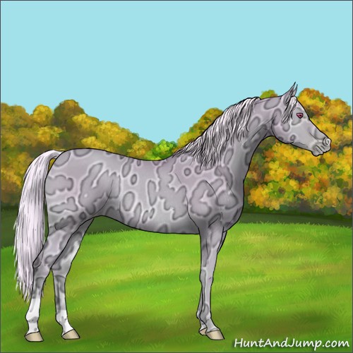 Horse Color:Watercolor Silver Smoky Blue Onyx Chinchilla Ice Pearl Rabicano 