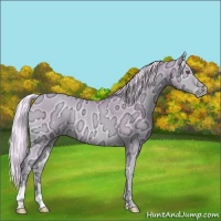 Horse Color:Watercolor Silver Smoky Blue Onyx Chinchilla Ice Pearl Rabicano 
