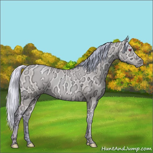 Horse Color:Watercolor Silver Classic Champagne Chinchilla Ice Pearl Dun 
