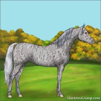 Horse Color:Watercolor Silver Classic Champagne Chinchilla Ice Pearl Dun 