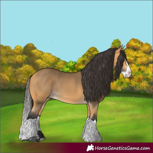 Horse Color:Buckskin Splash Rabicano