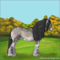 Horse Color:Blue Onyx Ice Mushroom 