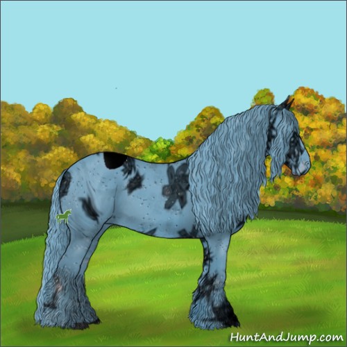 Horse Color:ERROR: UNKNOWN ANOMALY