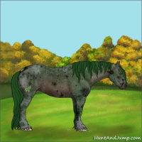 Horse Color:ERROR: UNKNOWN ANOMALY