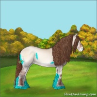 Horse Color:Chocolate Brown Pearl Onyx Mushroom Sabino Varnish