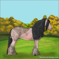 Horse Color:Bay Ice Sabino
