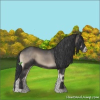 Horse Color:Blue Onyx Sabino