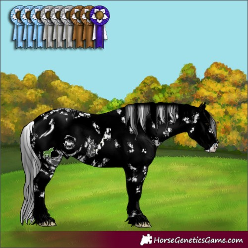 Horse Color:ERROR: UNKNOWN ANOMALY