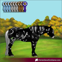 Horse Color:ERROR: UNKNOWN ANOMALY