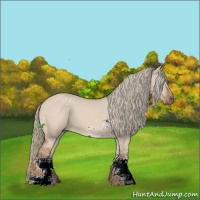 Horse Color:White Spotted Red Dun Mushroom Sabino