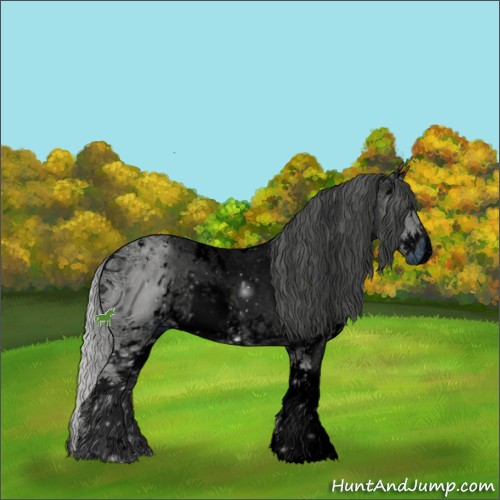 Horse Color:ERROR: UNKNOWN ANOMALY