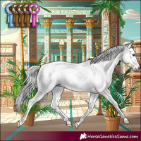 Horse Color:Gray Liver Red Dun Rabicano 