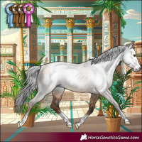 Horse Color:Gray Liver Red Dun Rabicano 
