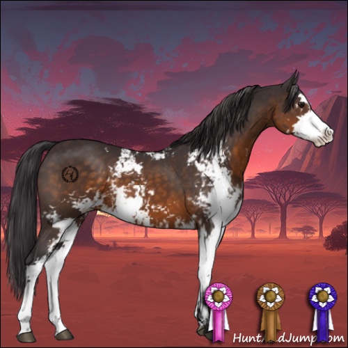 Horse Color:Buckskin Sabino 