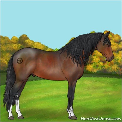 Horse Color:Brown Sabino 