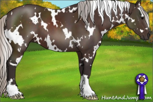 Horse Color:White Spotted Silver Brown 