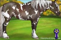 Horse Color:White Spotted Silver Brown 