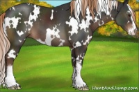 Horse Color:White Spotted Liver Chestnut Sabino 