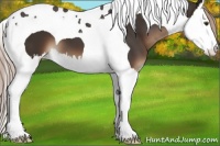 Horse Color:Liver Chestnut Sabino Splash Tobiano 