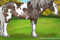 Horse Color:White Spotted Silver Brown Splash 
