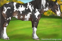 Horse Color:White Spotted Liver Chestnut Sabino 